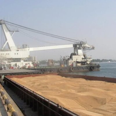 Экспорт агропродукции из морских портов Украины через неделю сократился на четверть