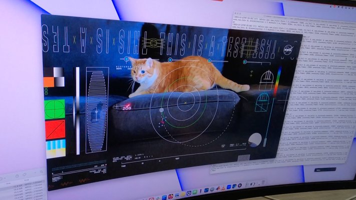 NASA по лазерному лучу передало на Землю из дальнего космоса видео с котиком