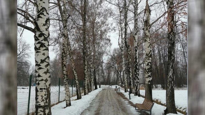 Погода в Алматы с 4 по 10 марта 2024
