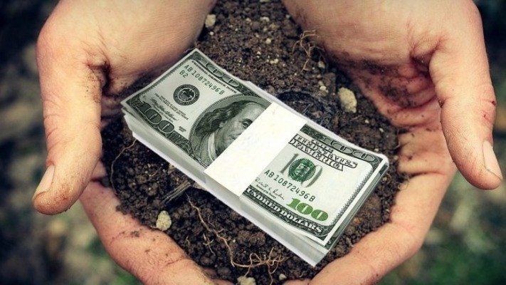 За три года украинцы продали полмиллиона гектаров земли