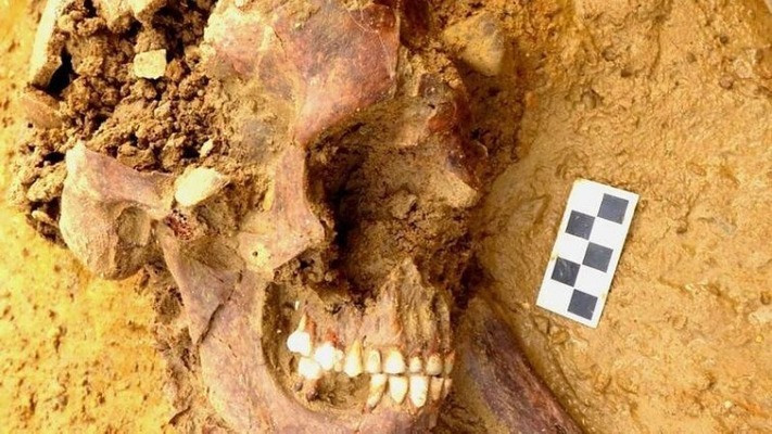 На западе Грузии обнаружили скелет ребенка, жившего 10 тысяч лет назад