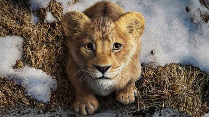 Король Лев возвращается: Disney представил трогательный трейлер приквела Муфаса