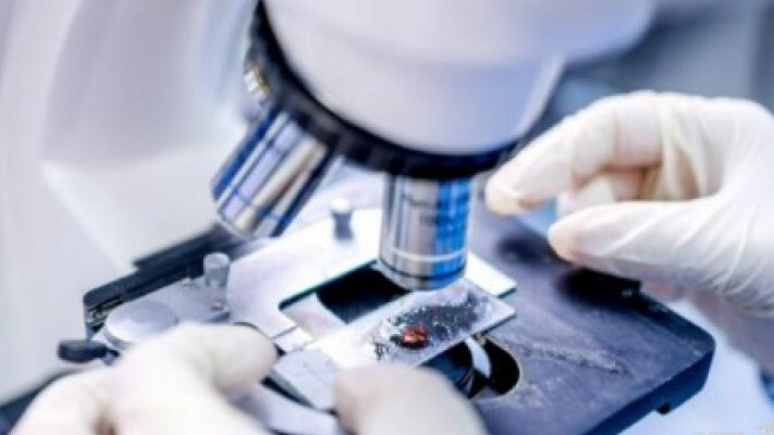 Японцы узнали о клетках человека кое-что уникальное