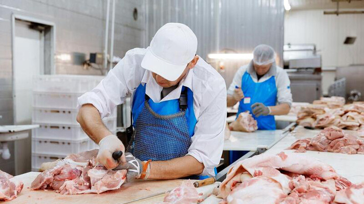 Рост производства мяса в Казахстане: уверенная динамика развития отрасли