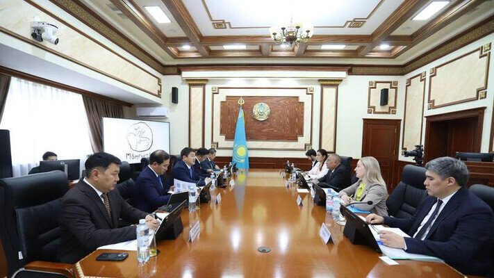 Нурдаулет Килыбай принял представителя Детского фонда ООН в Казахстане