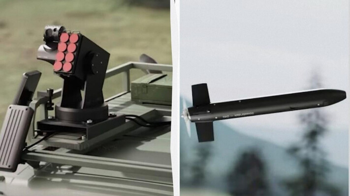 В 16 тысяч раз дешевле истребителя: Швеция создала новое оружие против дронов РФ