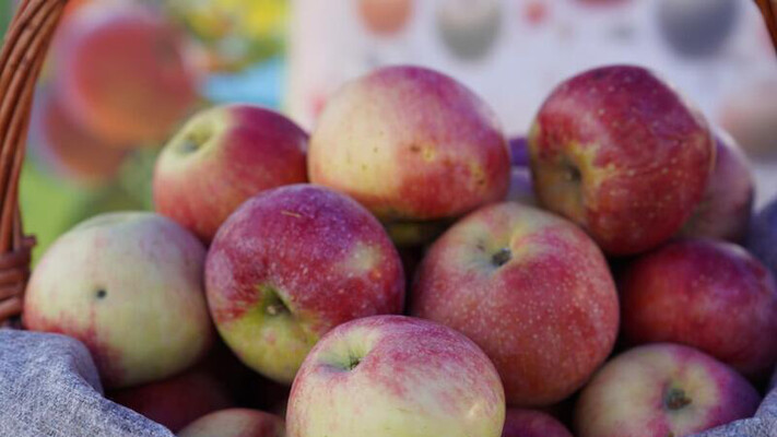 В Казахстане почти 29 тысяч га яблоневых садов