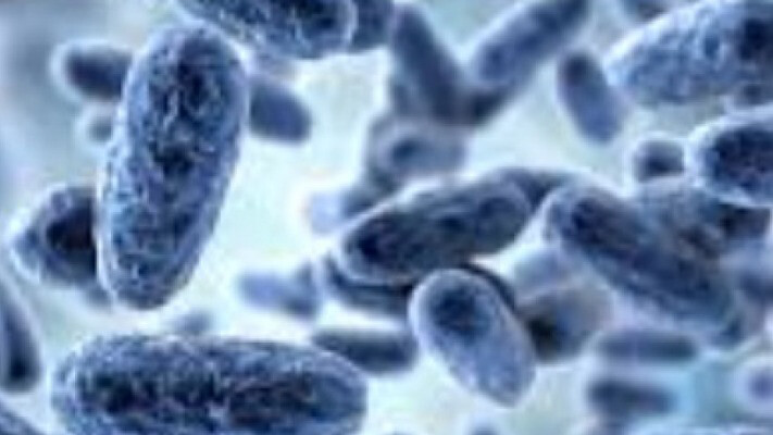 Американцы бьют тревогу из-за роста заболеваемости коклюшем