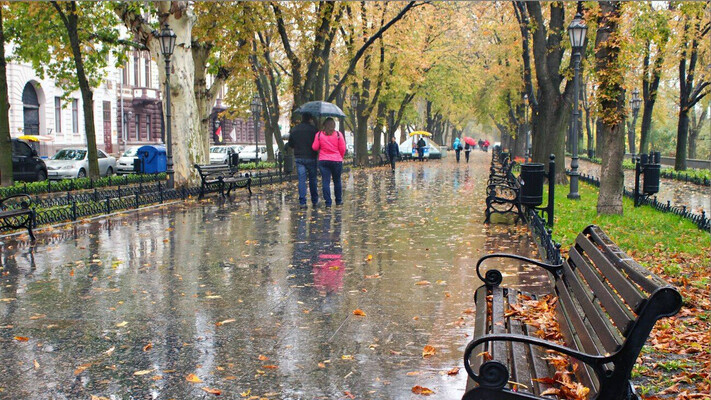 Циклон в Украине. В каких областях будет сильный ветер и дождь? 