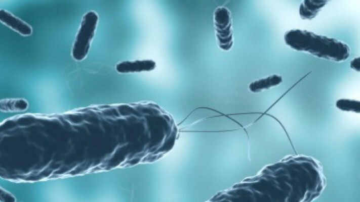 Австралийцы узнали, способны ли бактерии пережить космические путешествия