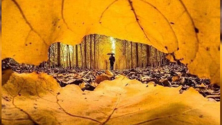 Утро не всегда начинается с кофе! (+Фото)