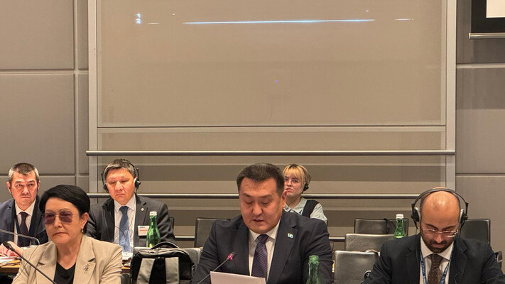 МЧС Казахстана усиливает международное взаимодействие в сфере снижения рисков бедствий