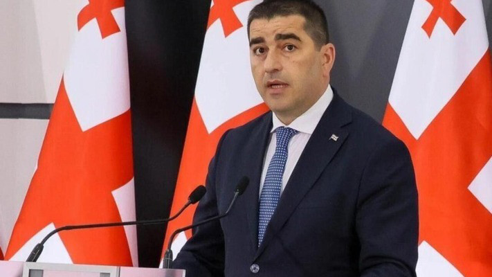 «Грузинская мечта» внесла иск в Конституционный суд с требованием запрета трех партий