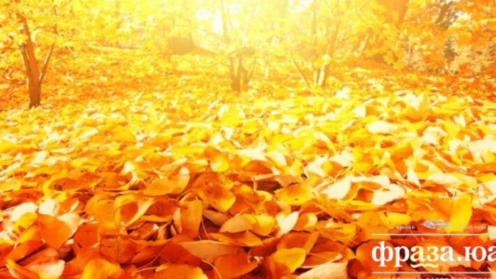 Украинцам рассказали, какой будет погода в первые дни ноября