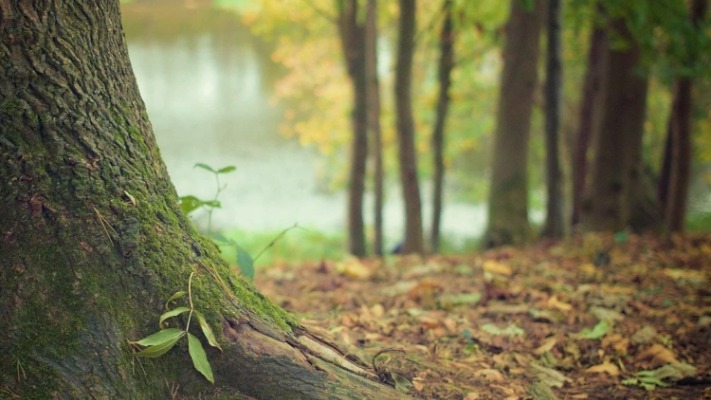 После солнечного понедельника Украину накроет похолодание и дожди 