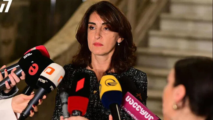 Глава МИД Грузии: «Евронест не может указывать грузинскому народу, в каком направлении развивать страну»