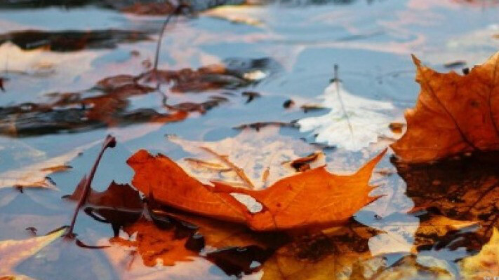 Украинцам рассказали, где в ближайшие дни пройдут дожди